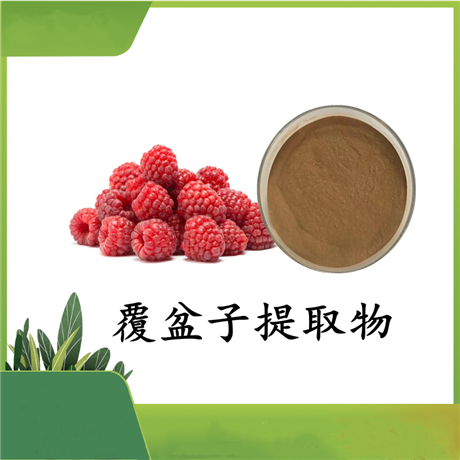 覆盆子提取物10：1 覆盆子粉   树莓粉  覆盆子酮  斯诺特 可定制