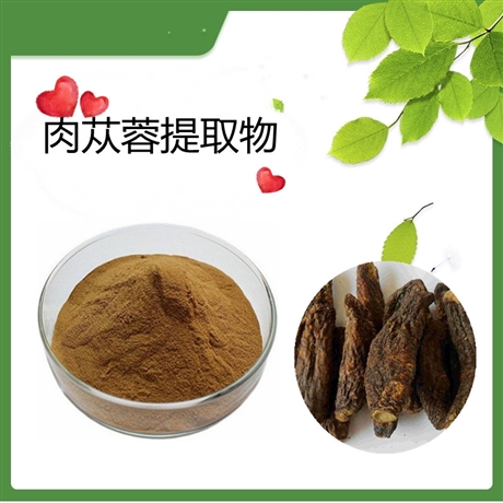 肉苁蓉提取物 10：1 肉苁蓉粉  水溶   可定制  斯诺特生物