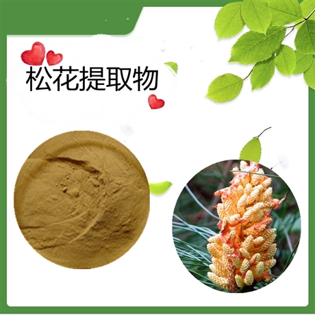 松花提取物   水溶   斯诺特