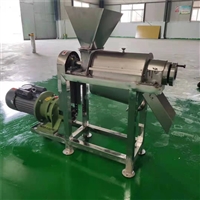 水果蔬菜打浆机 瓜果蔬菜榨汁机 大型工业不锈钢榨汁机