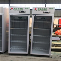 立式双门药品阴凉柜 大容量药品阴凉柜 哈尔滨商用药品阴凉柜 