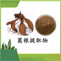 葛根提取物  葛根浓缩粉  水溶好 压片造粒都可 斯诺特可定制