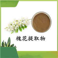 槐米提取物10：1水溶粉末 槐米浸膏粉   斯诺特80目100目