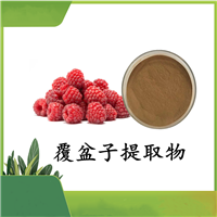 覆盆子提取物10：1 覆盆子粉   树莓粉  覆盆子酮  斯诺特 可定制