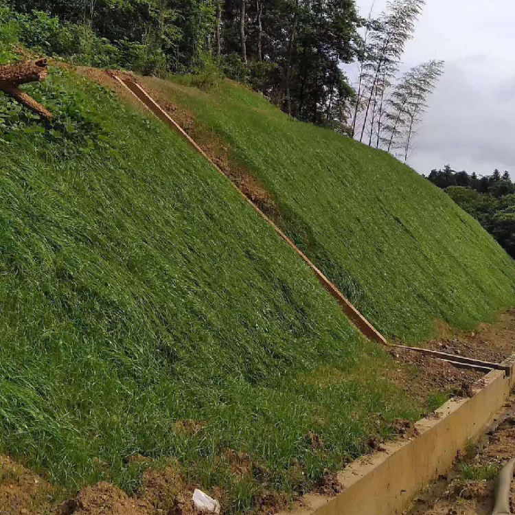 河南南阳铁路草种护坡喷播机工作效率