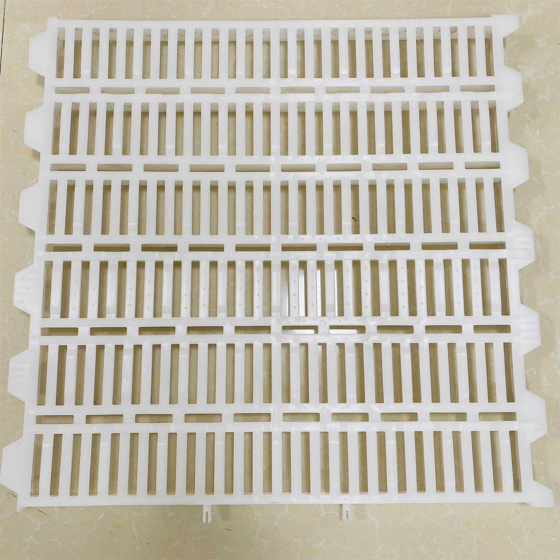 猪保育床 小猪用漏粪板 塑料猪地板 得利畜牧实力厂家