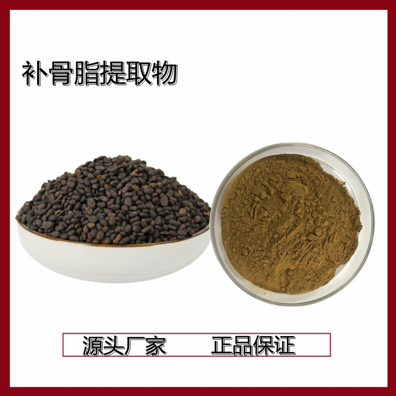 10:1 补骨脂提取物 浓缩粉 浸膏粉 10：1  萃取物浓缩 水溶性
