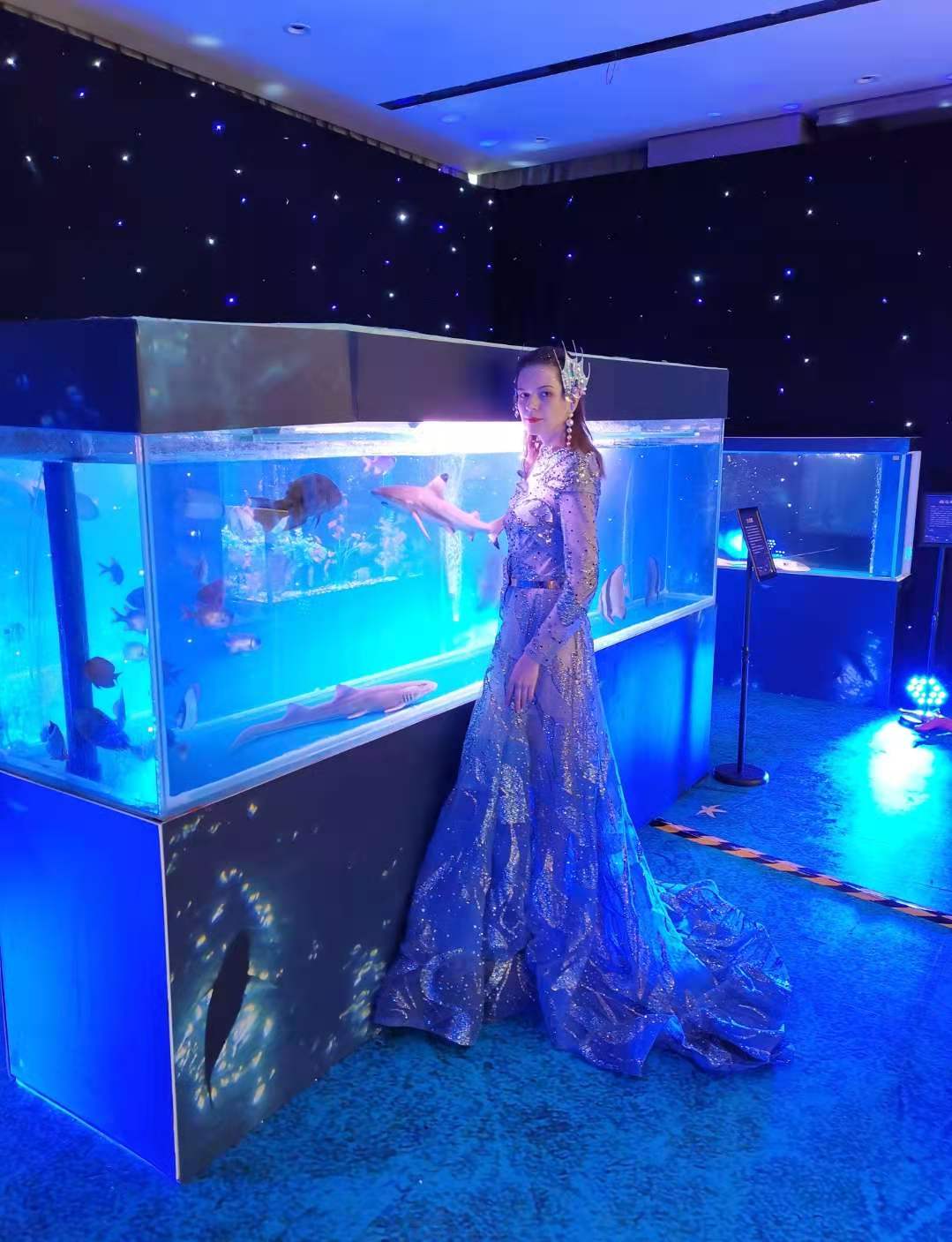 2021海洋生物展水母鱼缸展览租赁海洋展