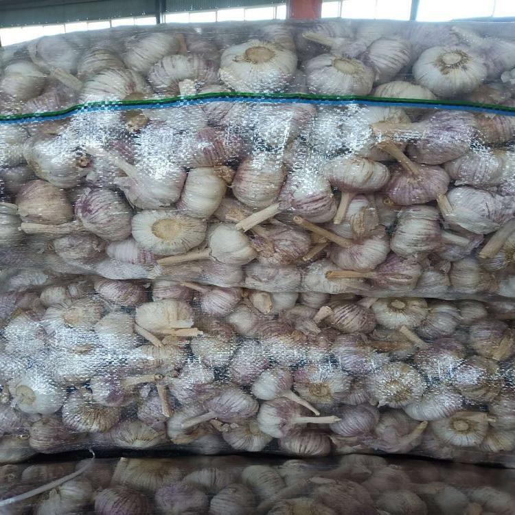 嘉祥当季大蒜代储大蒜当季代收冷藏