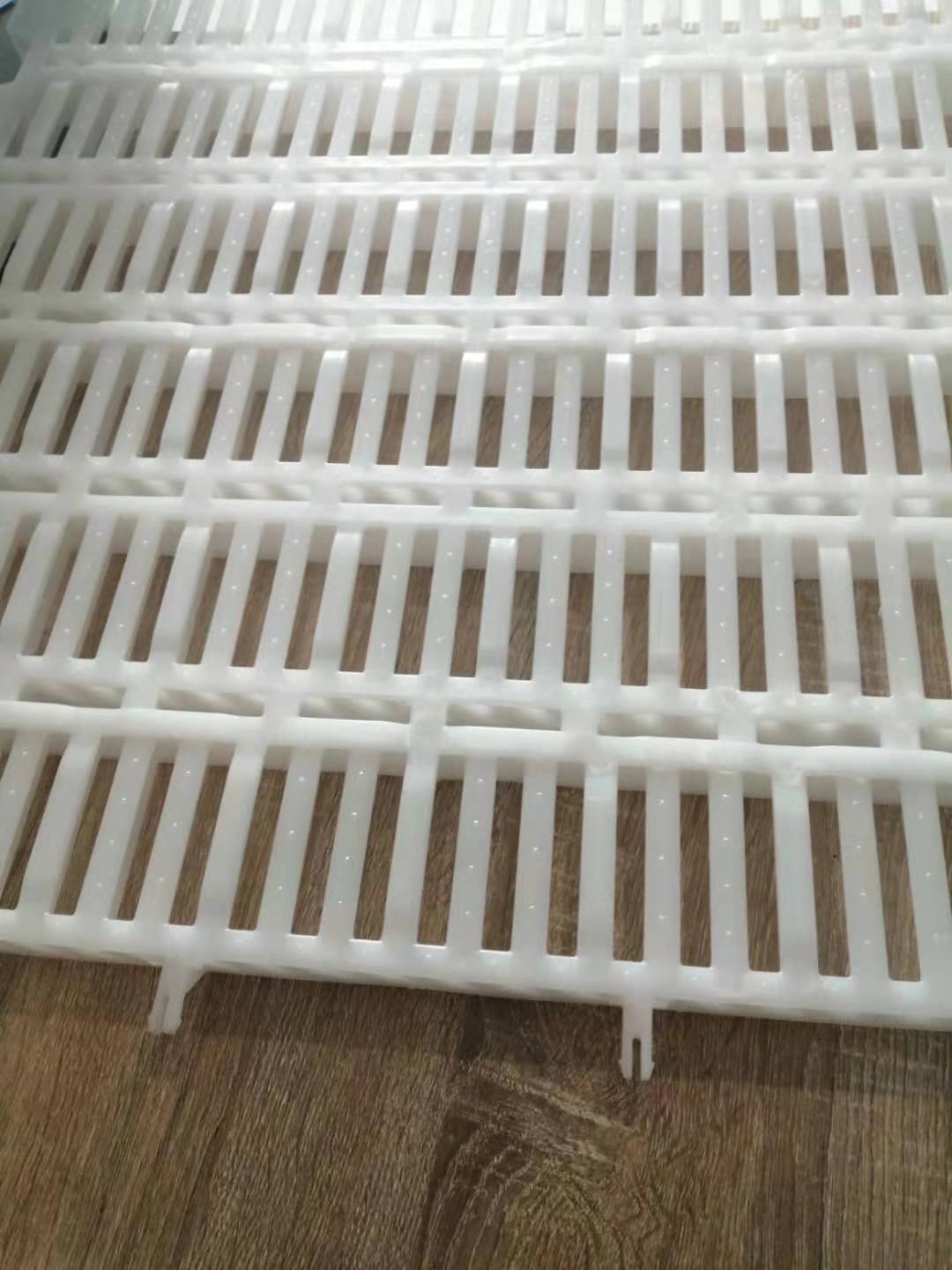 塑料猪地板猪漏粪板小猪保育漏粪板得利畜牧实力厂家
