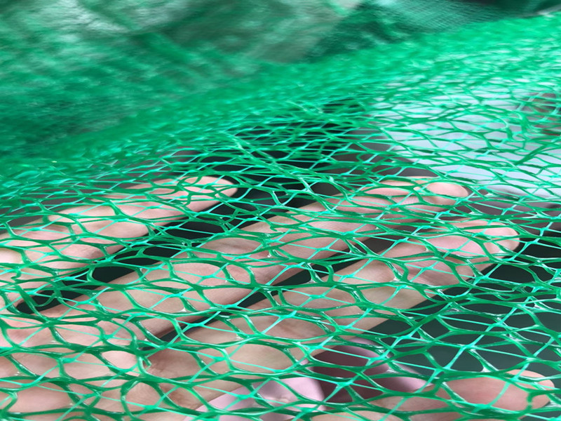 植草护坡三维植被网生态绿化网垫固土工网垫