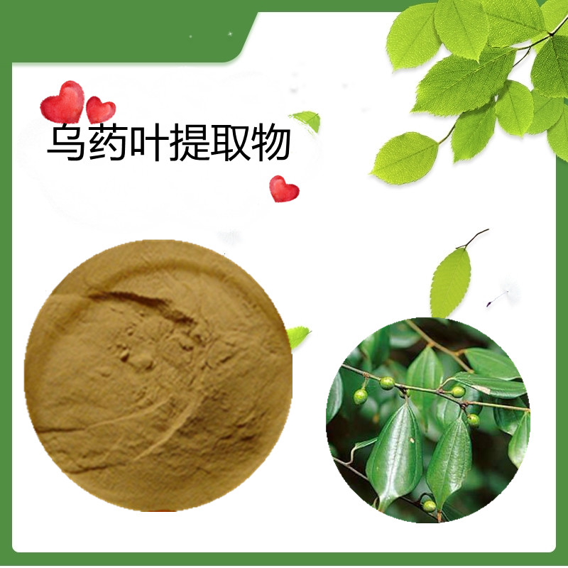 乌药叶提取物 乌药粉 乌药浸膏   提取液水溶  可定制 斯诺特生物