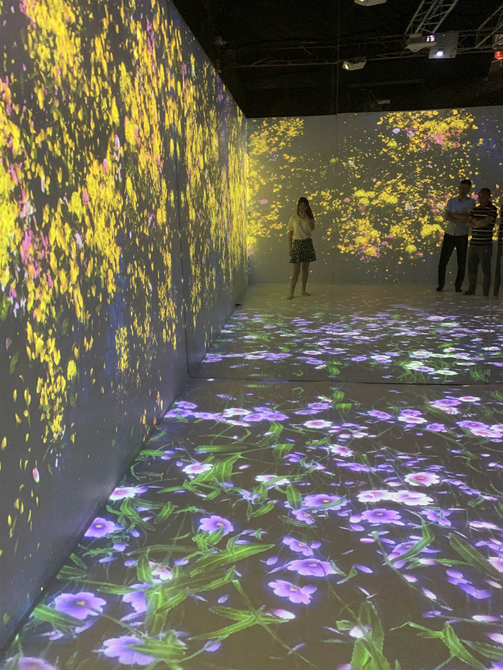沉浸式全息投影ar互动蝶舞花海墙面地面投影