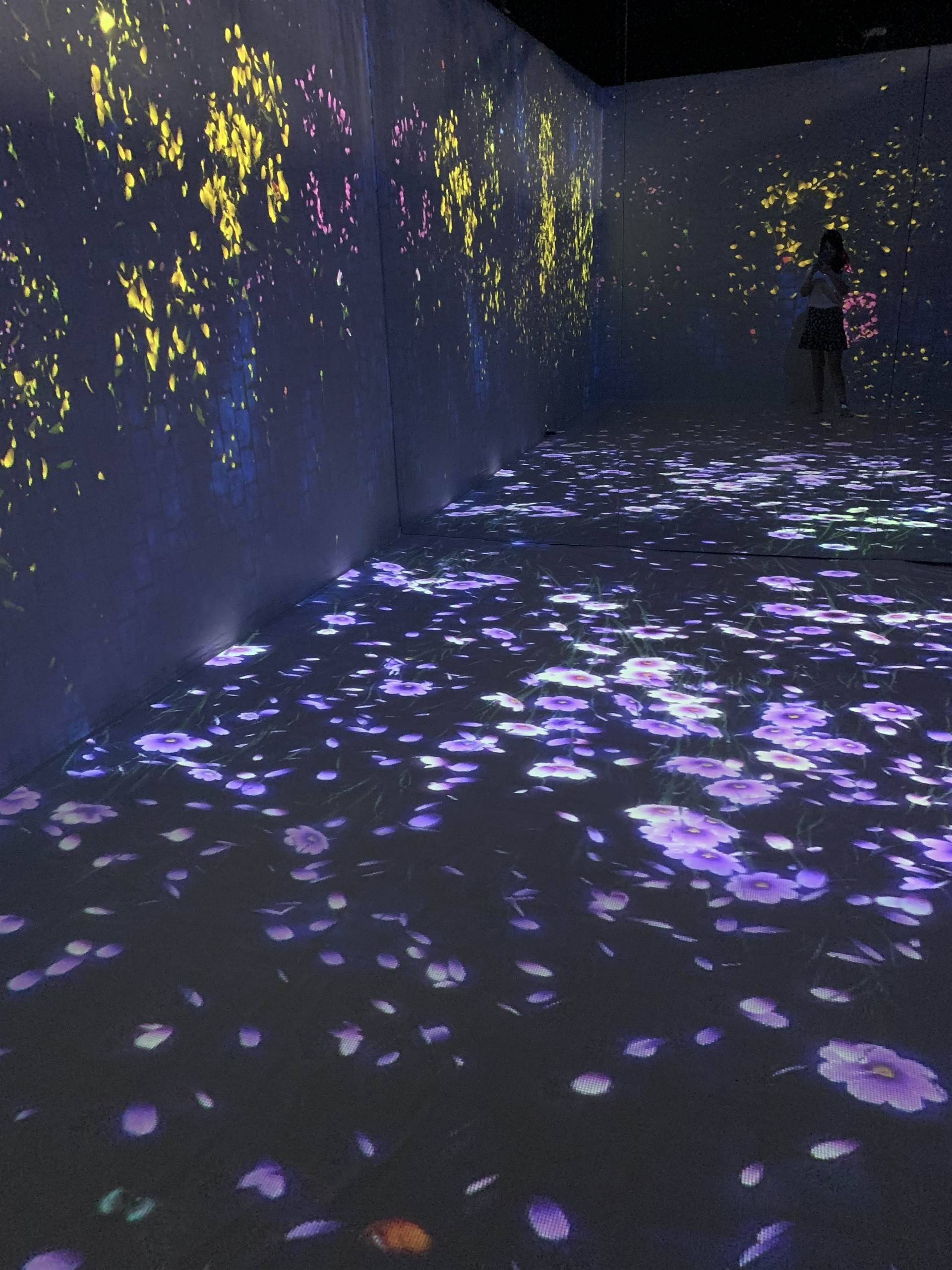 沉浸式全息投影ar互动蝶舞花海墙面地面投影