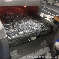 先泰铝盖清洗机 口服液复合盖超声波清洗线