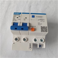 正泰小型漏电保护断路器 NXBLE-63 2P C63家用漏电断路器