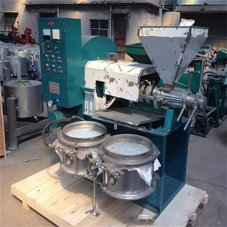 新型花生油榨油机郑州小型作坊榨油机设备榨油机厂家供应