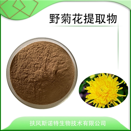 野菊花提取物 10:1  浸膏粉 黄酮 比例菊花浓缩粉 水溶性