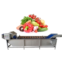 多功能蔬菜清洗机JY-5200 毛菜水果椰子清洗机 气泡洗菜机厂家 可定制