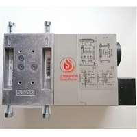 冬斯双电磁阀DMV-D520/11