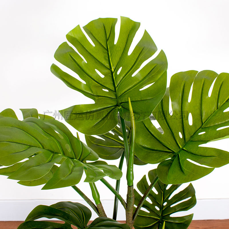 仿真龟背仿生龟背仿真盆景仿真室内盆景仿真植物盆景