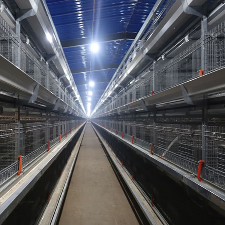 现代化新型蛋鸡笼立式层叠鸡笼自动化养殖设备