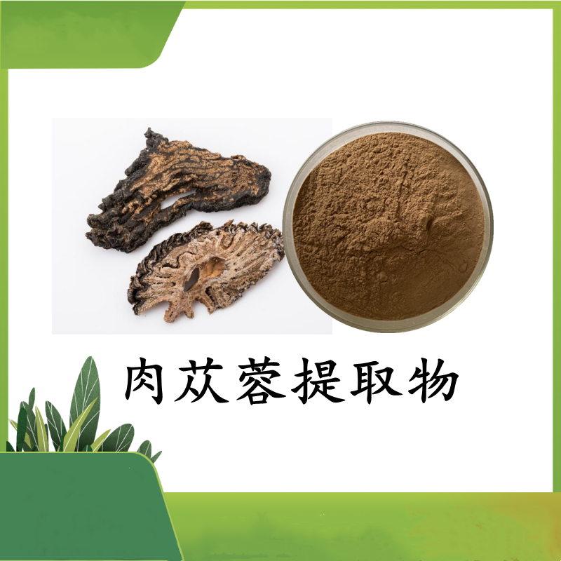 肉苁蓉提取物 肉苁蓉多酚20%  沙漠肉苁蓉 斯诺特 可定制