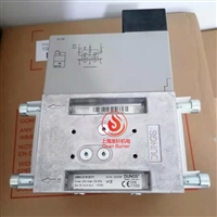 德国DUNGS电磁阀DMV-D512/11