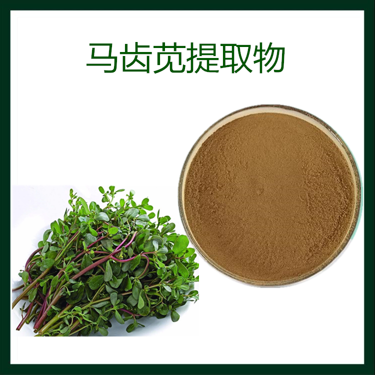 马齿苋提取物 植提 源头供应