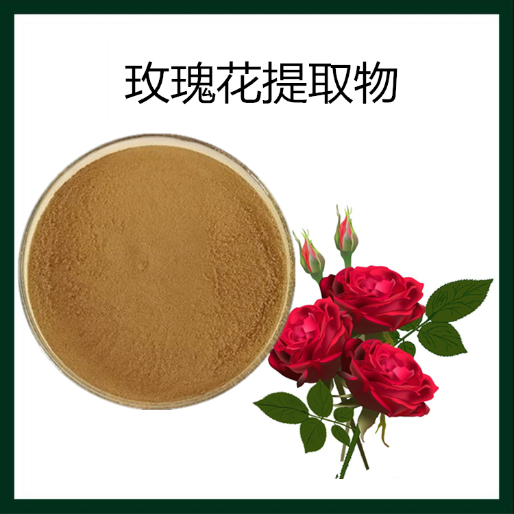 玫瑰花提取物 植提 源头供应