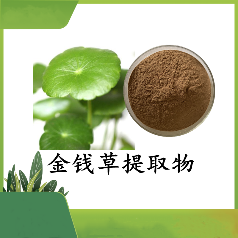 可定制 金钱草提取物 斯诺特 