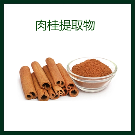 肉桂提取物 水溶性浸膏粉   含肉桂多酚  黄酮 SC证 斯诺特生物