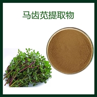 马齿苋提取物 植提 源头供应