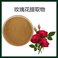玫瑰花提取物 植提 源头供应