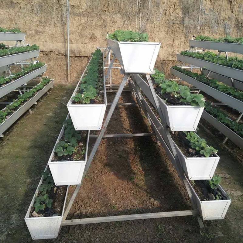 草莓种植槽厂家pvc温室番茄栽培槽尚霖草莓立体种植架