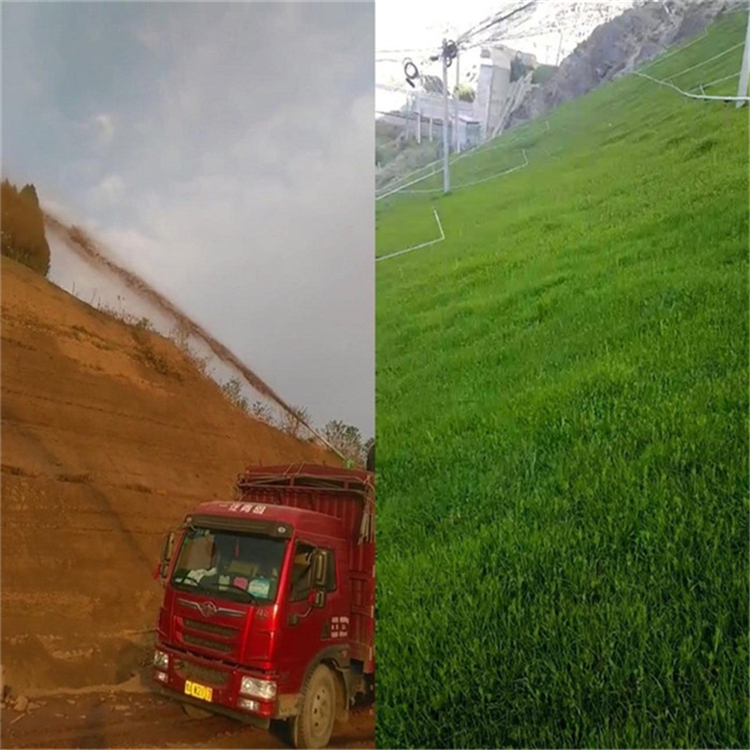 江蘇泰州山坡植草噴播機施工工藝