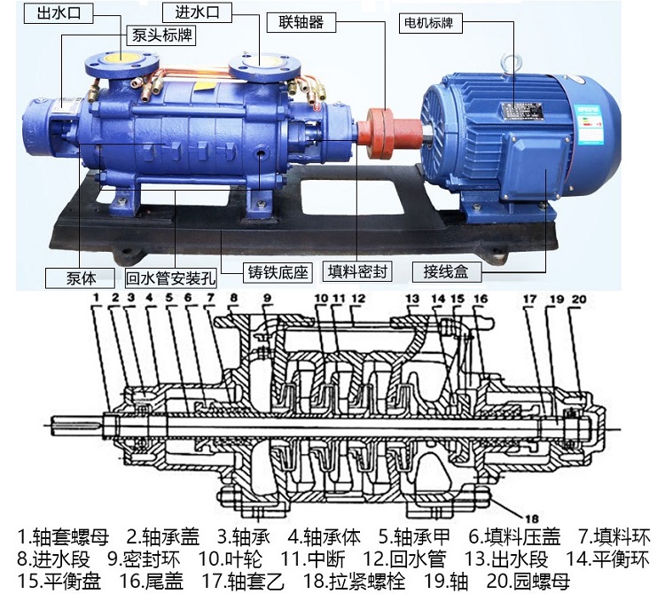 增压泵结构图图片