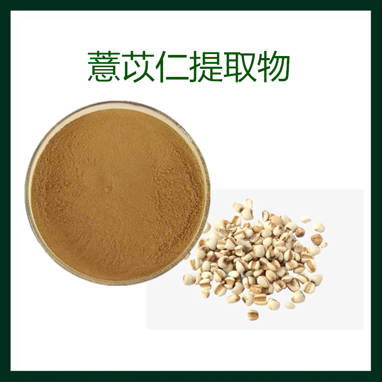 薏苡仁提取物 薏苡仁粉 10：1  SC生产商 免费提供样品