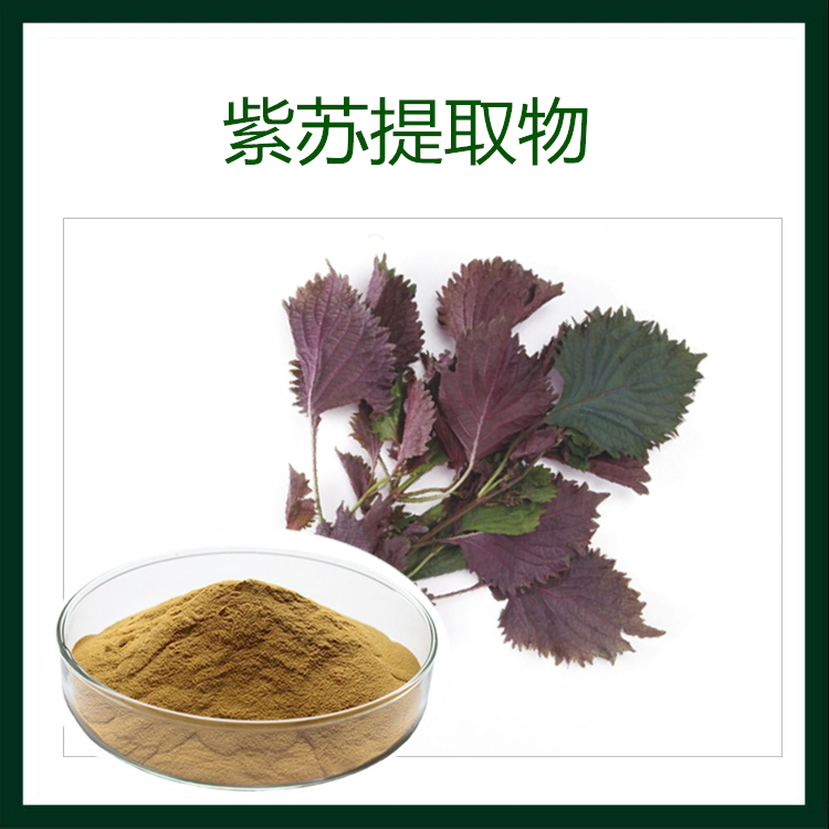 紫苏叶提取物 10:1 紫苏叶粉 按比例提取  SC源头供应