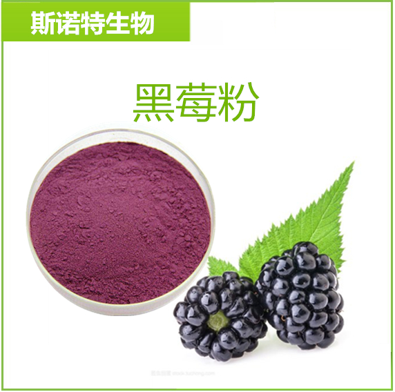 黑莓果粉 斯诺特生物 植提供应