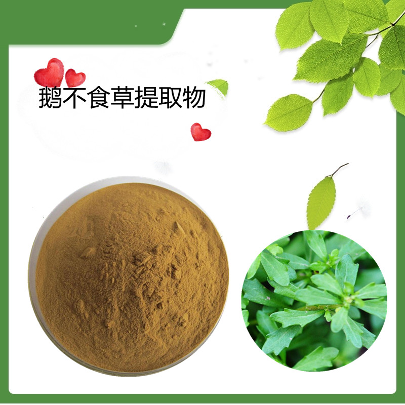 鹅不食草提取物  水溶  可定制   斯诺特生物
