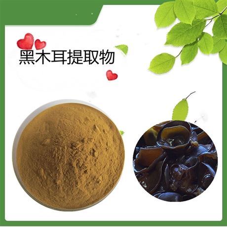 黑木耳提取物   水溶   可定制   斯诺特生物
