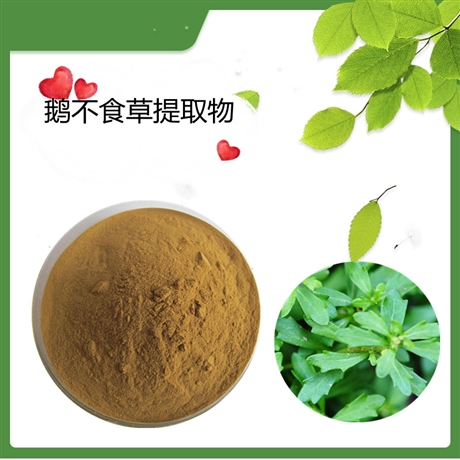 鹅不食草提取物  水溶  可定制   斯诺特生物