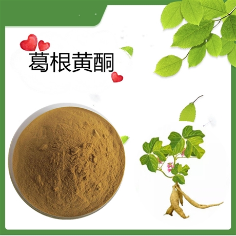 SC 厂家 葛根黄酮40% 葛根提取物 食品级 葛根素水溶  斯诺特生物