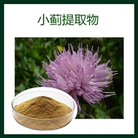 小蓟提取物 水溶 可定制  小蓟速溶粉 质量稳定  源头供应