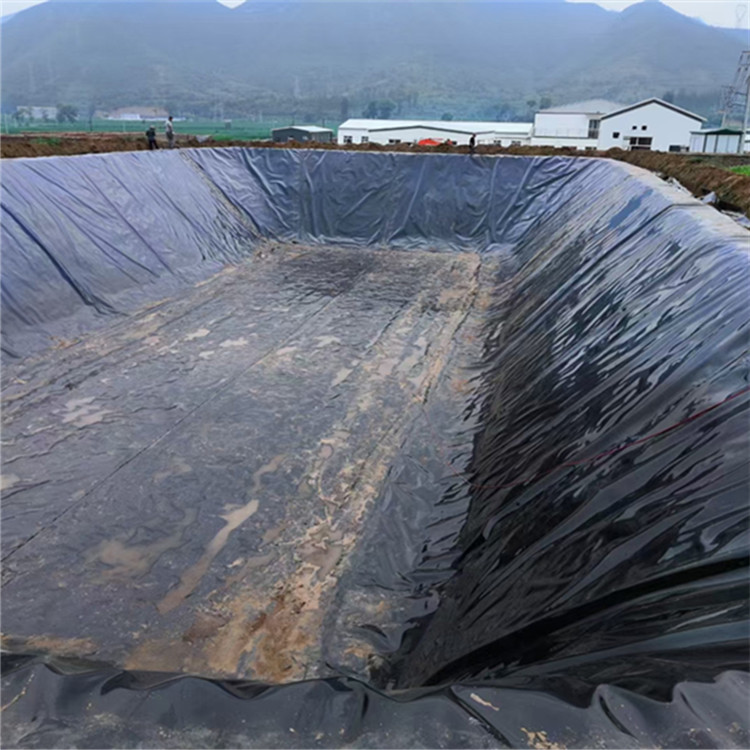鱼塘50丝防渗膜 高密度聚乙烯土工膜 鱼塘护坡防渗膜