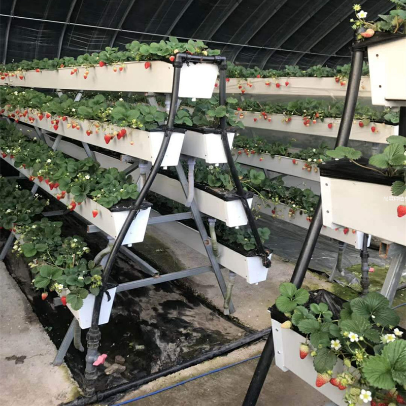 大棚立体草莓种植槽 水培种植槽电话