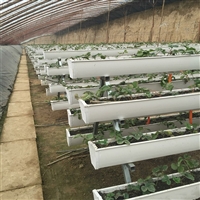 尚霖 草莓立体栽培槽 无土栽培设备