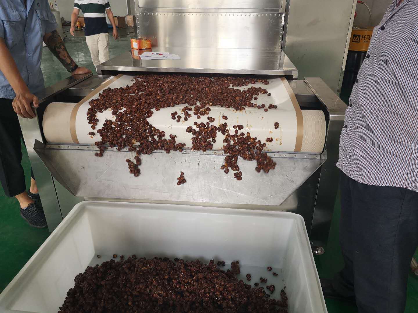 劲家庄同款杀菌机 五谷杂粮粉杀菌设备,五谷杂粮微波烘烤设备