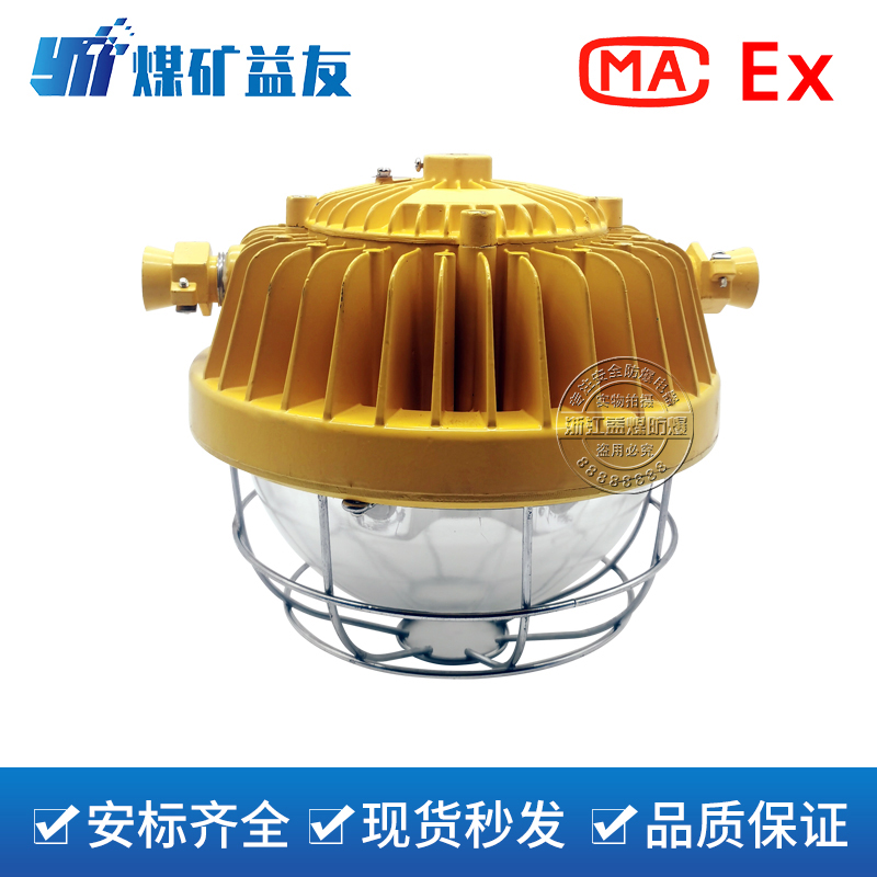 DGS45/127L(A)矿用隔爆型LED巷道灯